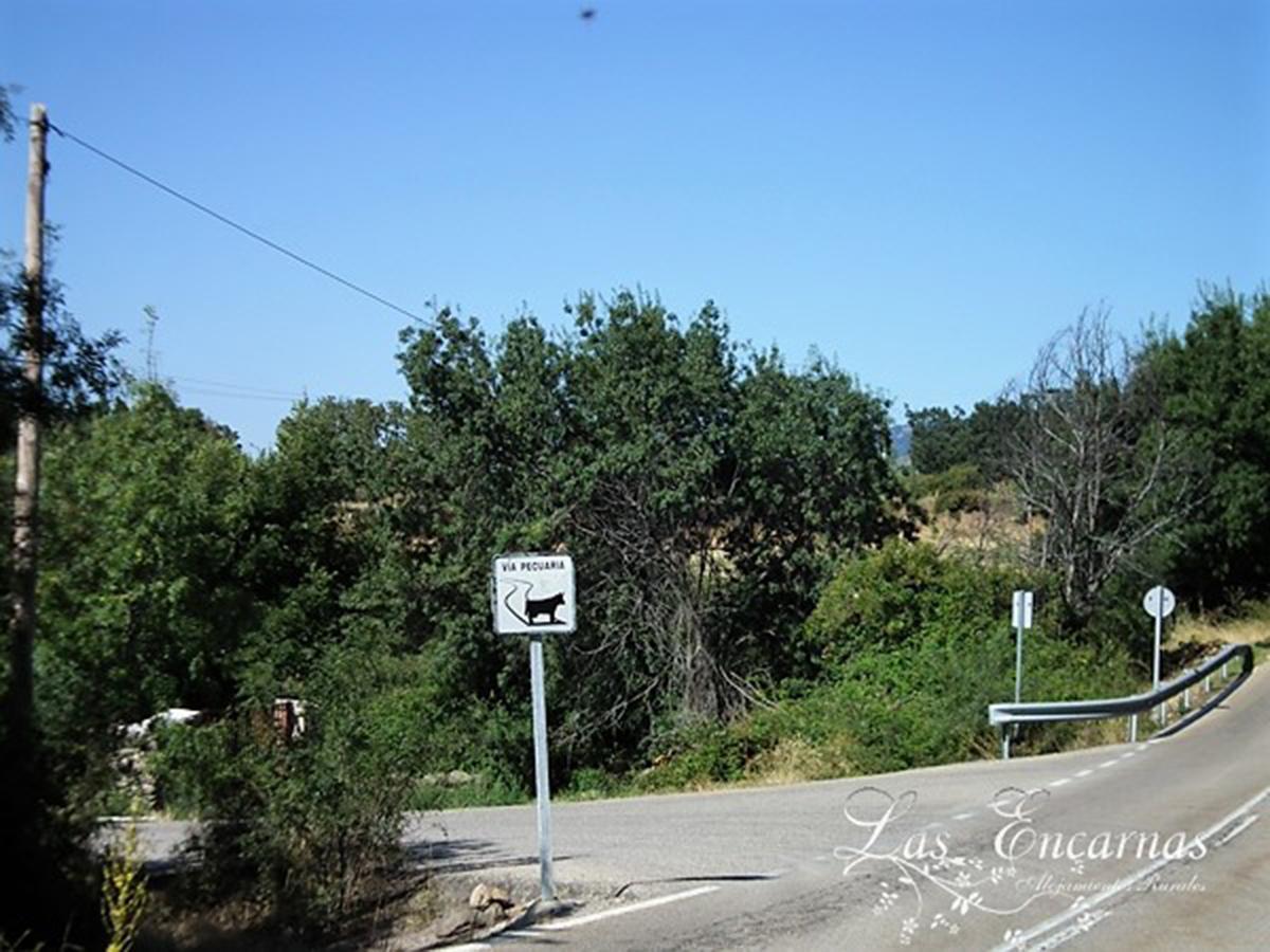 Las Encarnas Braojos de la Sierra Exterior foto